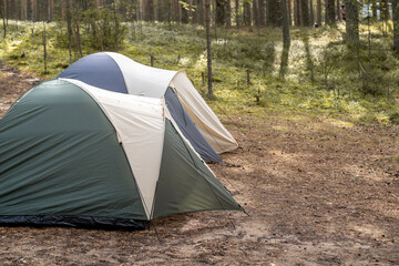 Poster - Two brightly colored camping tents are set up in a tranquil forest clearing, surrounded by tall trees and soft underbrush during morning