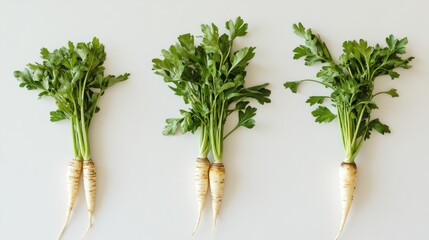 Sticker - Three bunches of fresh parsley with roots on a light background.