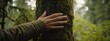 © Michal - A person gently holding and kissing the trunk of an old tree in a forest, with moss on its bark, symbolizing care for nature