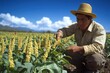 © AIGen - Hispanic Farmer Manual: Mature Man Planting Amaranthus in Mexico's Agricultural Field