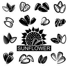 Wall Mural - Sunflower seed set. Collection icon sunflower. Vector 