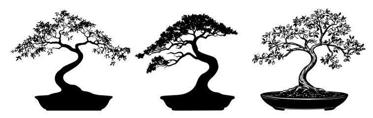 hand-drawn bonsai trees with sculpted branches, black vector illustration