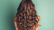 © bornmedia - Curly brown hair closeup, no face. Back view of beautiful brown haired woman with long wavy hair.