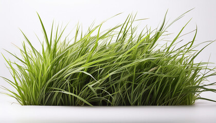 A green grass with a white background