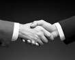 © Ai-Pixel - Handshake, symbol of agreement and partnership