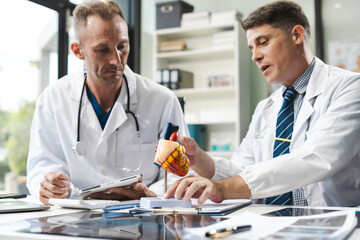 doctor shows a model of how the heart system works, doctors explaining symptoms and treatment.