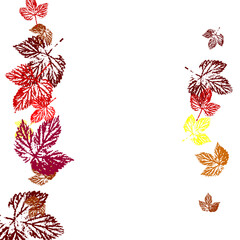 autumn falling leaves isolated on white background. orange design for autumn design. eps10