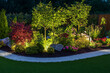 © GustavsMD - Nighttime garden with trees, shrubs, and flowers beautifully illuminated by soft lighting, highlighting vibrant foliage and landscaping design.