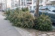 © Amparo Garcia - Christmas trees dumped on the street to be recycled