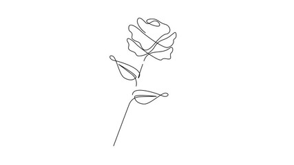 Wall Mural - Flower drawing mono line. Continuous line icon on white background. template	
