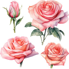 Wall Mural - Pink roses in bloom