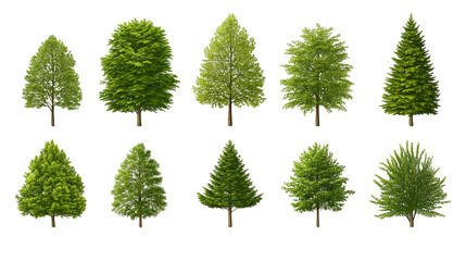 Glitch Effect Tree Collage   Abstract Nature Background