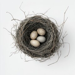 Poster - Four speckled bird eggs rest in a woven nest.