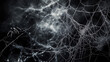 © Irina B - A close-up of a spider resting on a web covered in dew against a dark, misty background. The scene is eerie and detailed, creating a haunting Halloween atmosphere..