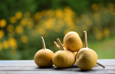 Ornamental pumpkins on wooden table, bokeh background with yellow blooming flowers, autumn background with pumpkins, selective focus, blurred background, space for text.