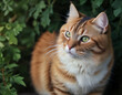 © Helga - Portrait of a red striped cat with green eyes in nature, looks to the left