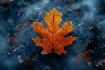 Poster - A vibrant oak leaf drifting down through the fog, isolated on a pastel surface,