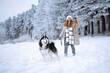 © maxbelchenko - A young woman walks with her dog in the winter forest. Husky dog. Pet owner enjoys walking her dog outdoors. Friendship concept, pets.