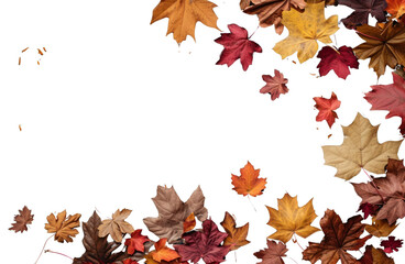 Wall Mural - png fall leaves backgrounds autumn plant.