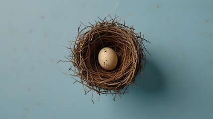 egg in the nest on a blue background