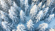 © Oleksiy - Aerial View of a Snow-Covered Winter Forest with Pine Trees. Concept of Winter Wonderland, Nature s Beauty, Serene Landscapes