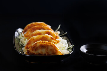 japanese gyoza japanese food black dish