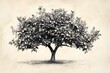 © Mathias - A black and white drawing of a large apple tree