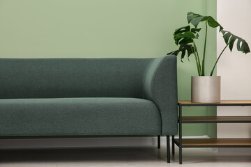 Poster - Stylish sofa and houseplant near green wall indoors