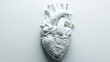 © h4kunA - White anatomical heart model on a plain background.