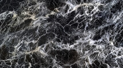 Intricate white spider webs contrasted against a dark background with space for personalized text