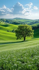 view of green grass and blue sky, nature and environment, landscape