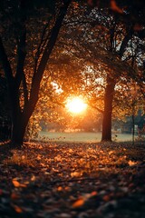 Poster - Autumn sunset in a park with trees and fallen leaves