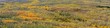 © Bob - A panorama image of spen trees displaying fall color in the steens mountains in south central Oregon., near Frenchglen