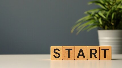 Wall Mural - wooden blocks spelling 'start' with a green plant in the background.