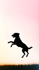 A playful silhouette of a dog jumping, set against a soft pastel background that enhances its outline