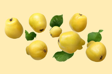 Poster - Fresh quinces and green leaves in air on beige background