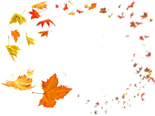 Wall Mural - autumn leaves falling isolated for background - 3d rendering