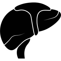 Poster - Liver Icon