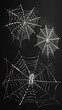 © CREATIVE STOCK - Realistic halloween spider webs collection, Halloween elements, Happy Halloween