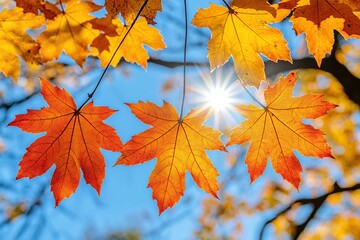 Wall Mural - Golden autumn leaves illuminated by the sun, creating a warm and inviting atmosphere.