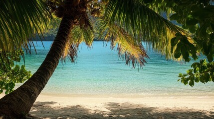 A serene beach scene with palm trees and clear turquoise water.