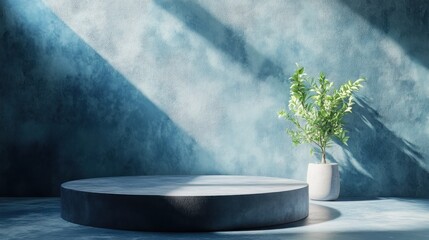 Wall Mural - A minimalist interior featuring a circular platform and a potted plant against a textured wall.