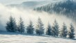 © setiadio - A serene winter landscape with frosted trees and misty mountains in the background.