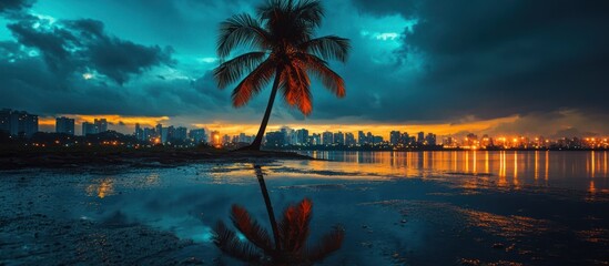 Poster - A single palm tree stands on a small island in the middle of a calm body of water with city lights reflecting in the water.