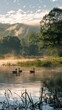 © Audy - Ducks on Misty Lake with Sunrise in the Forest