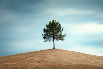 Poster - Solitary Pine Tree on a Hilltop Against a Cloudy Sky