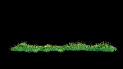 Wall Mural - grass wind noise loop on alpha channel. element footage place on footage or background and easier to