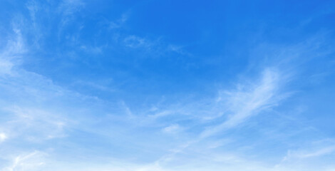 Wall Mural - sky is blue and clear with no clouds