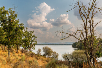 Wall Mural - Mountain landscape with oak trees and Valparaíso Reservoir, Zamora, Castile and León, Spain.