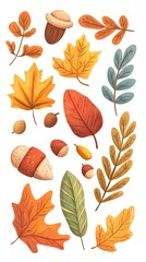 Poster - Autumn leaves, acorns, and evergreen branches vector illustration on a white background. Flat cartoon design of fall season elements for a greeting card or decoration.